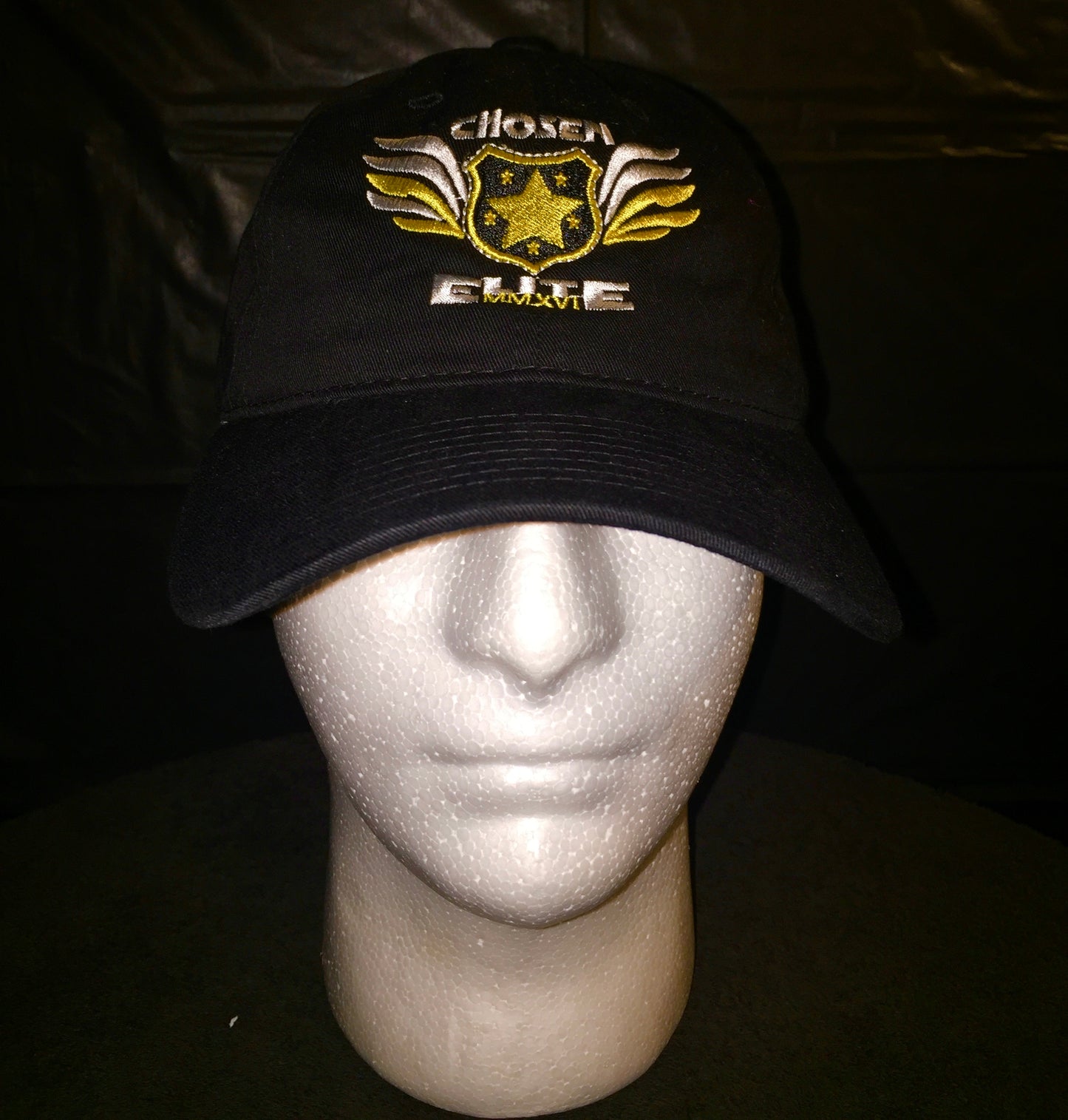 Trucker Snap Back Hat