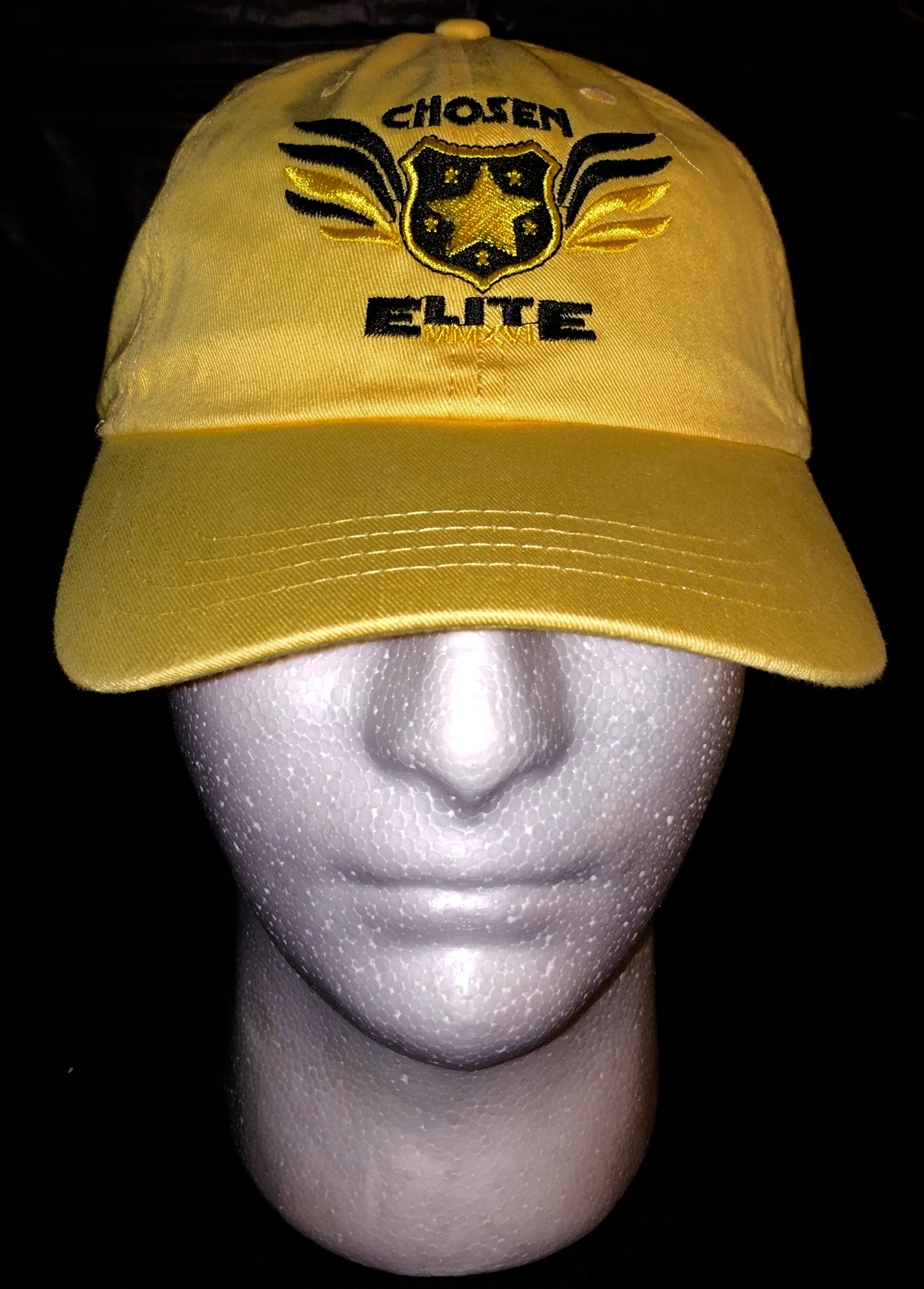 Trucker Snap Back Hat