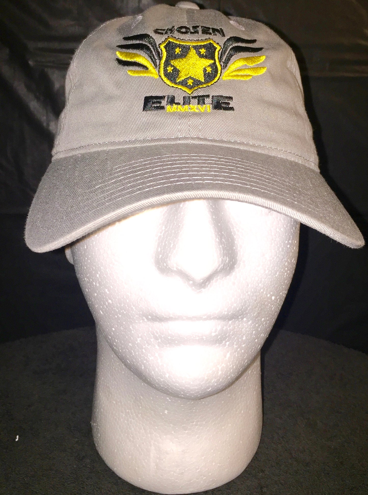 Trucker Snap Back Hat