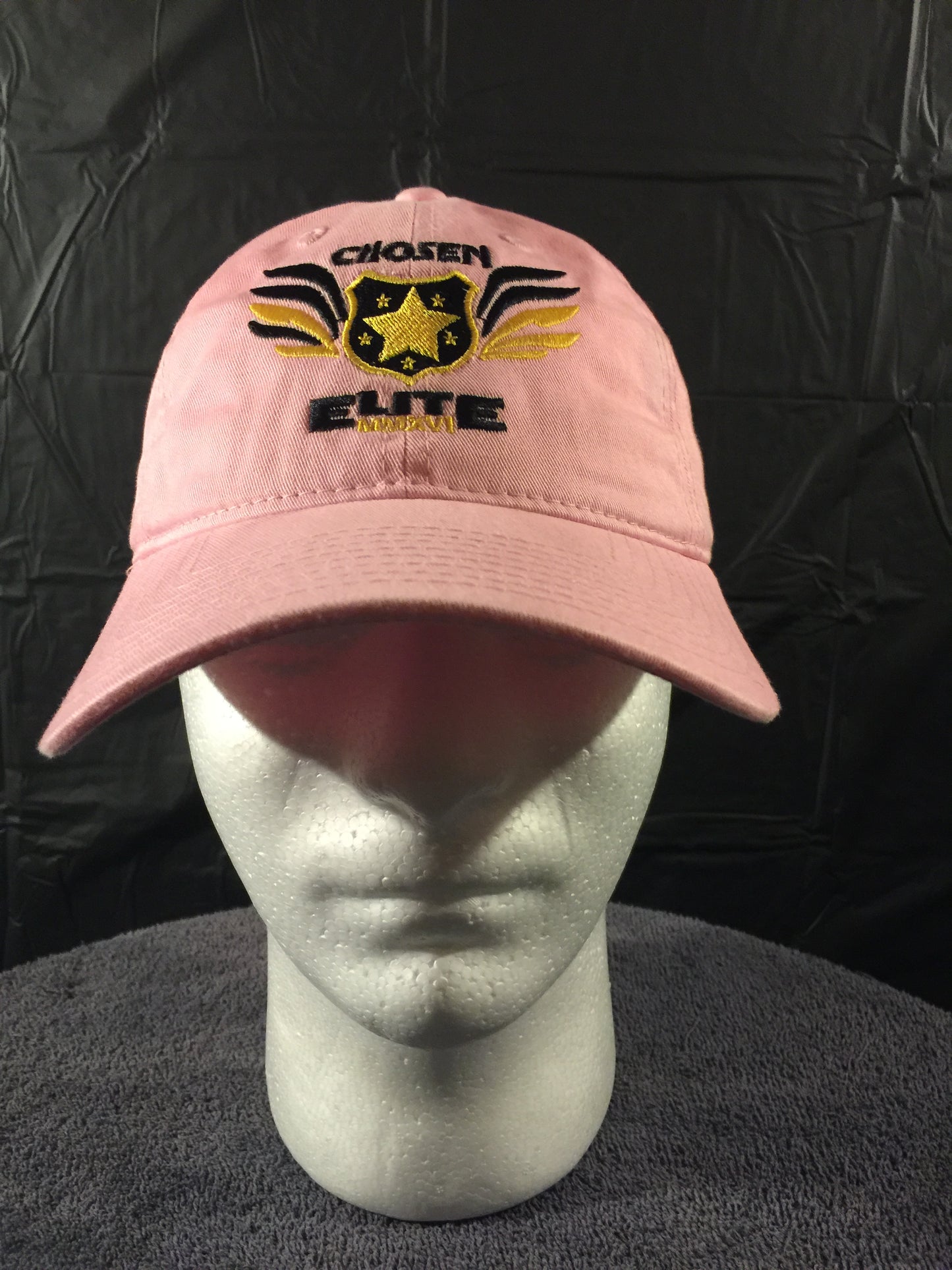 Trucker Snap Back Hat