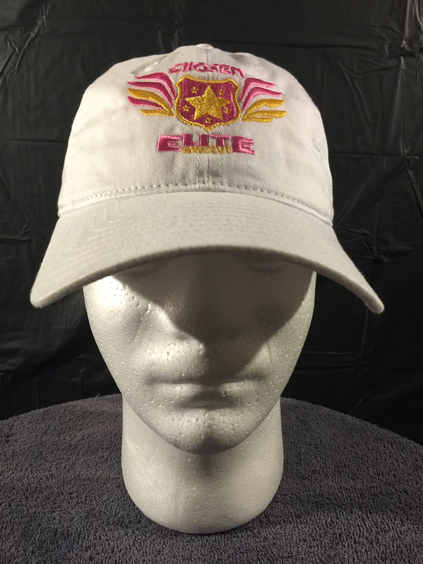 Trucker Snap Back Hat